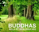 Buddhas ädla åttafaldiga väg: av Sangharakshita 2021 » Toppen